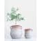 Hello Honey® Large Orange & Whitewashed Terra Cotta Urn